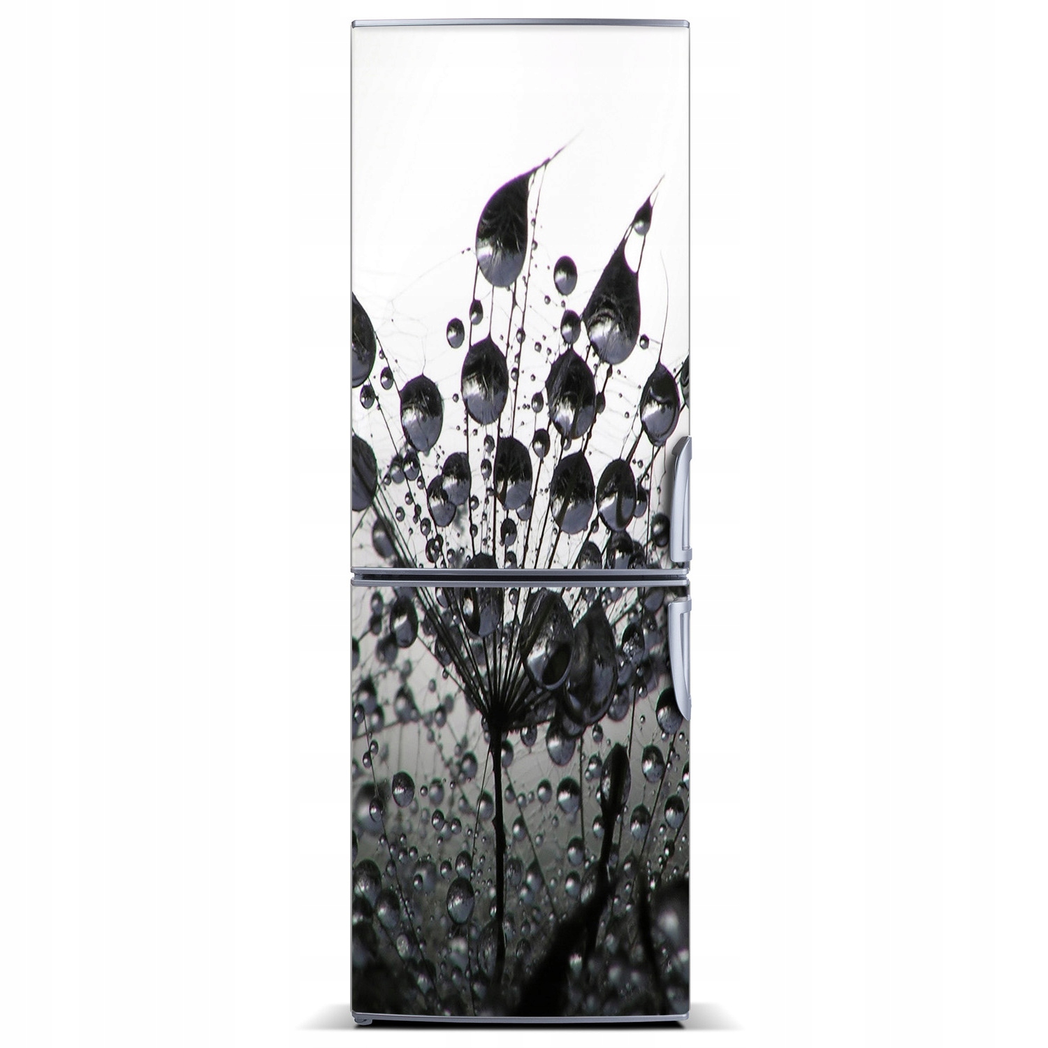 

Naklejka Magnes Magnes Nasiona dmuchawca 60x180