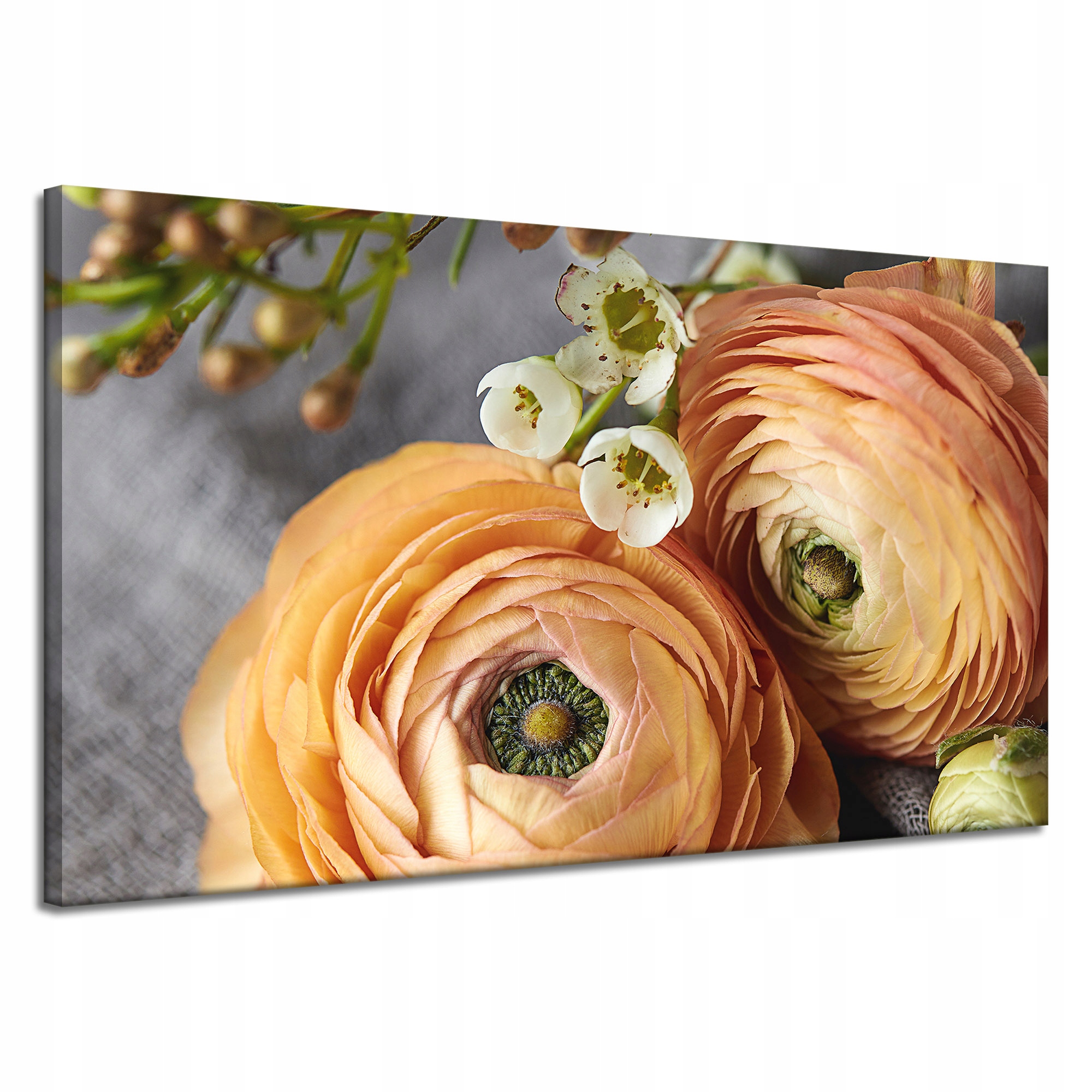 Obraz Canvas Botanika Čajové květiny 120x70 cm