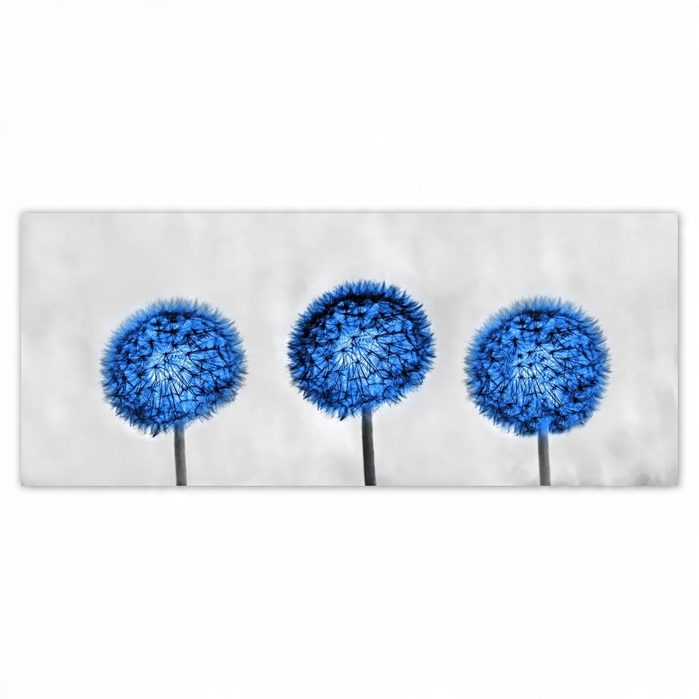

Fototapety flizelina 250x104 Niebieskie dmuchawce