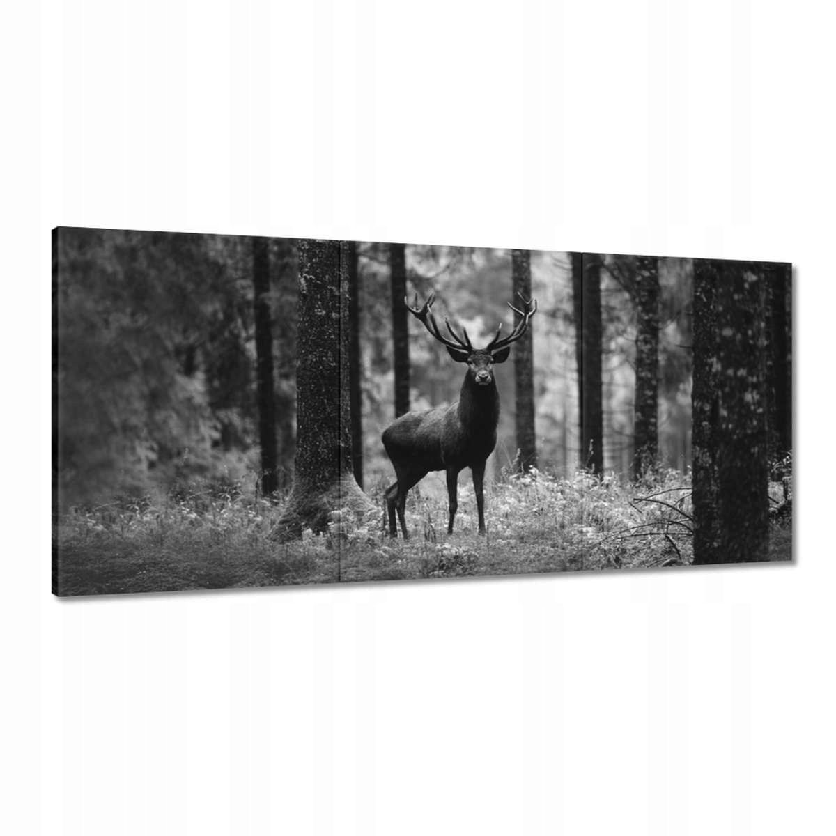Obrazy 210x100 Jeleň v lese B&w