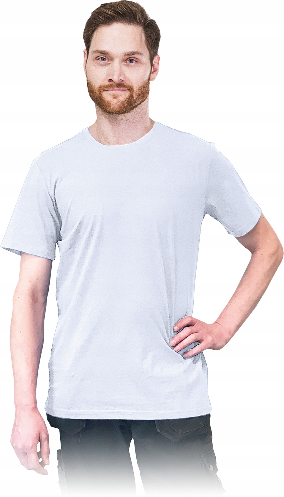 

T-shirt Męski Koszulka 100% Bawełna Tsr-long 2XL