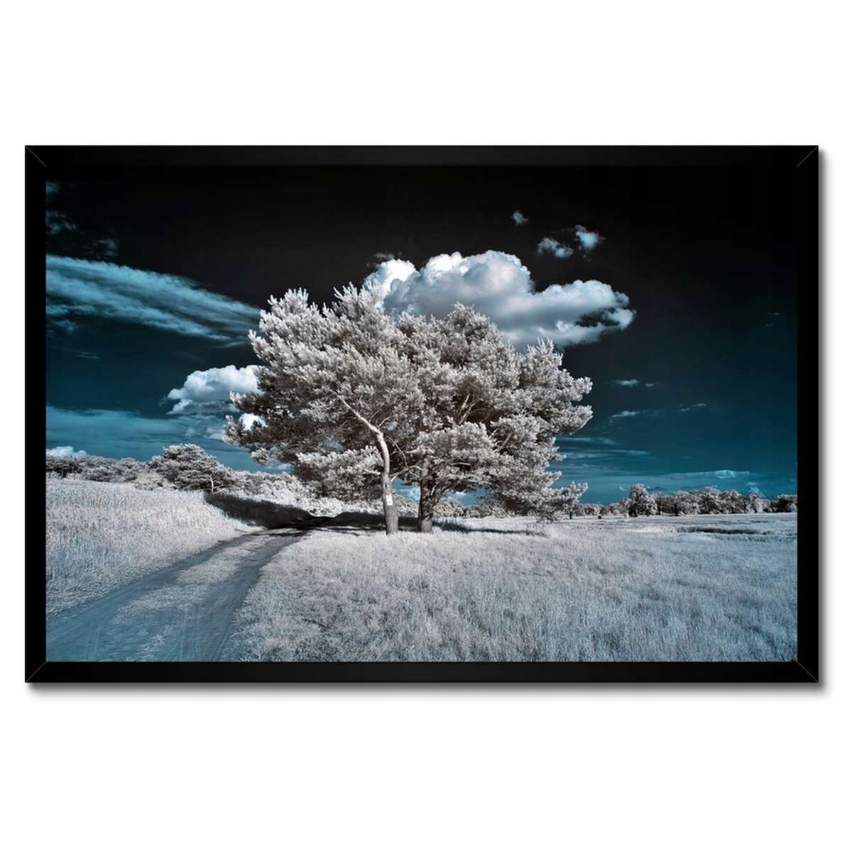 Plakáty v rámu 60x40 Stromek