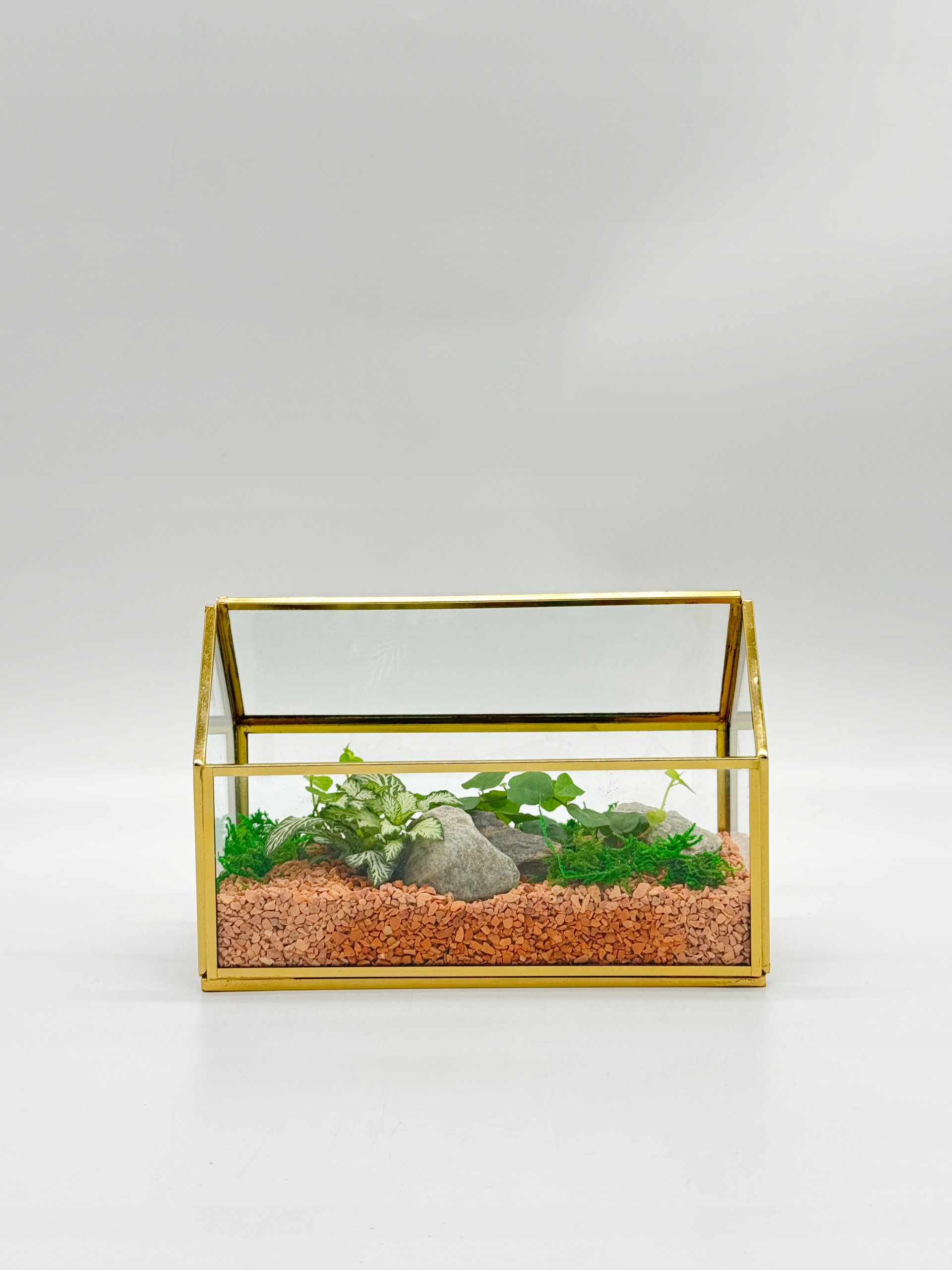 Les ve skle – Hotová kompozice – mini skleník zlatý – 20x9,5x13,5 cm