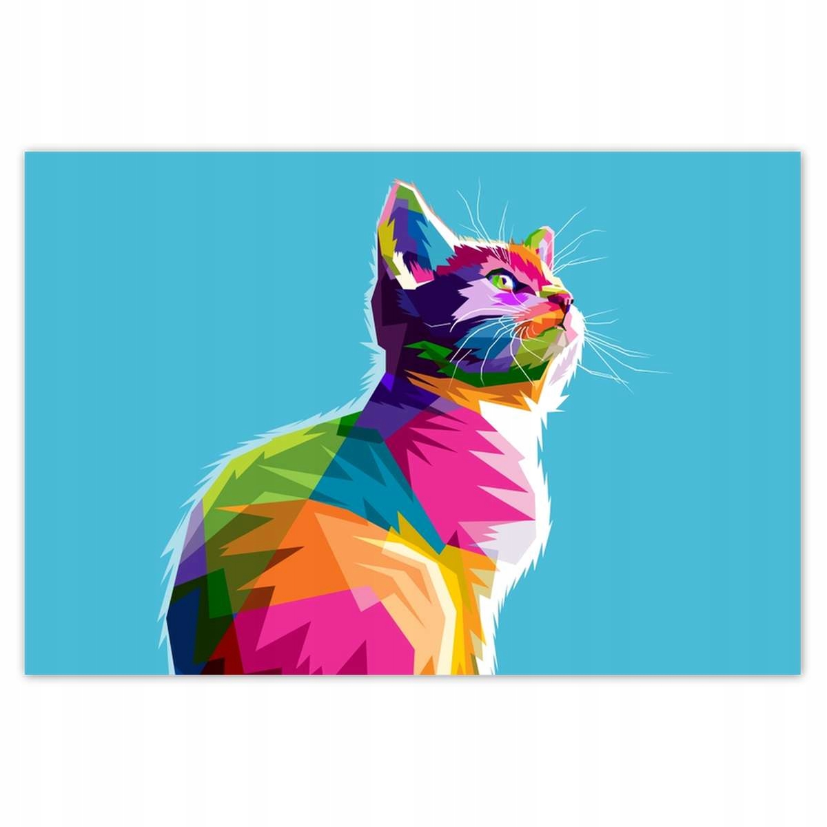 Plakáty 200x135 Kočička Kočky Kicia