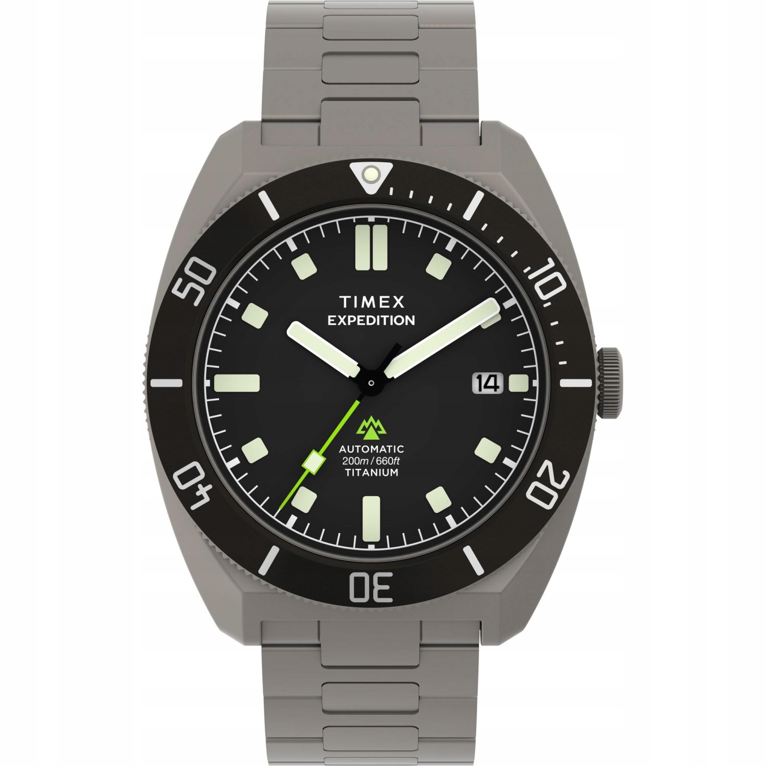 Pánské Hodinky Timex TW2Y63800 šedý náramek