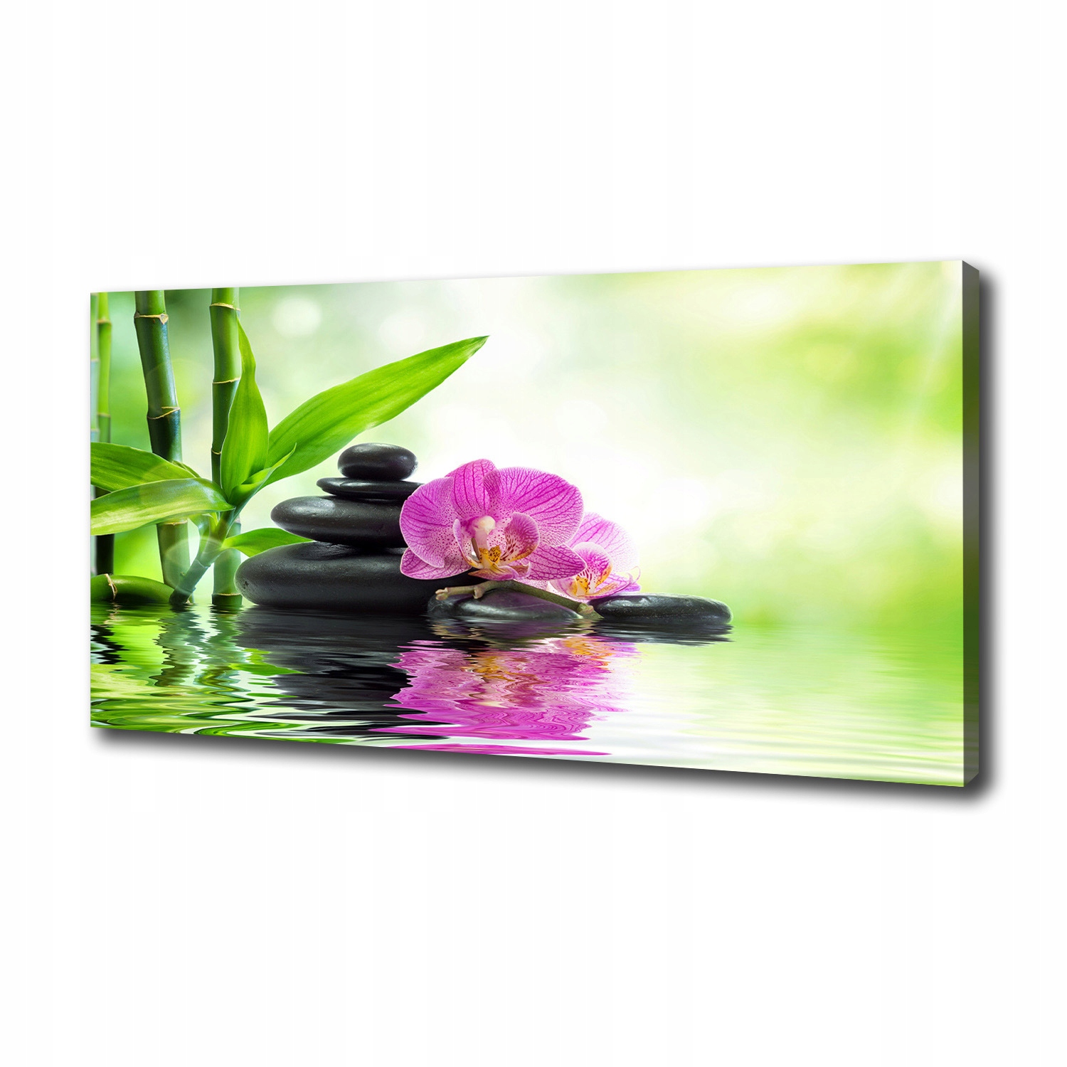 

Foto obraz canvas na ścianę Orchidea 100x50 cm