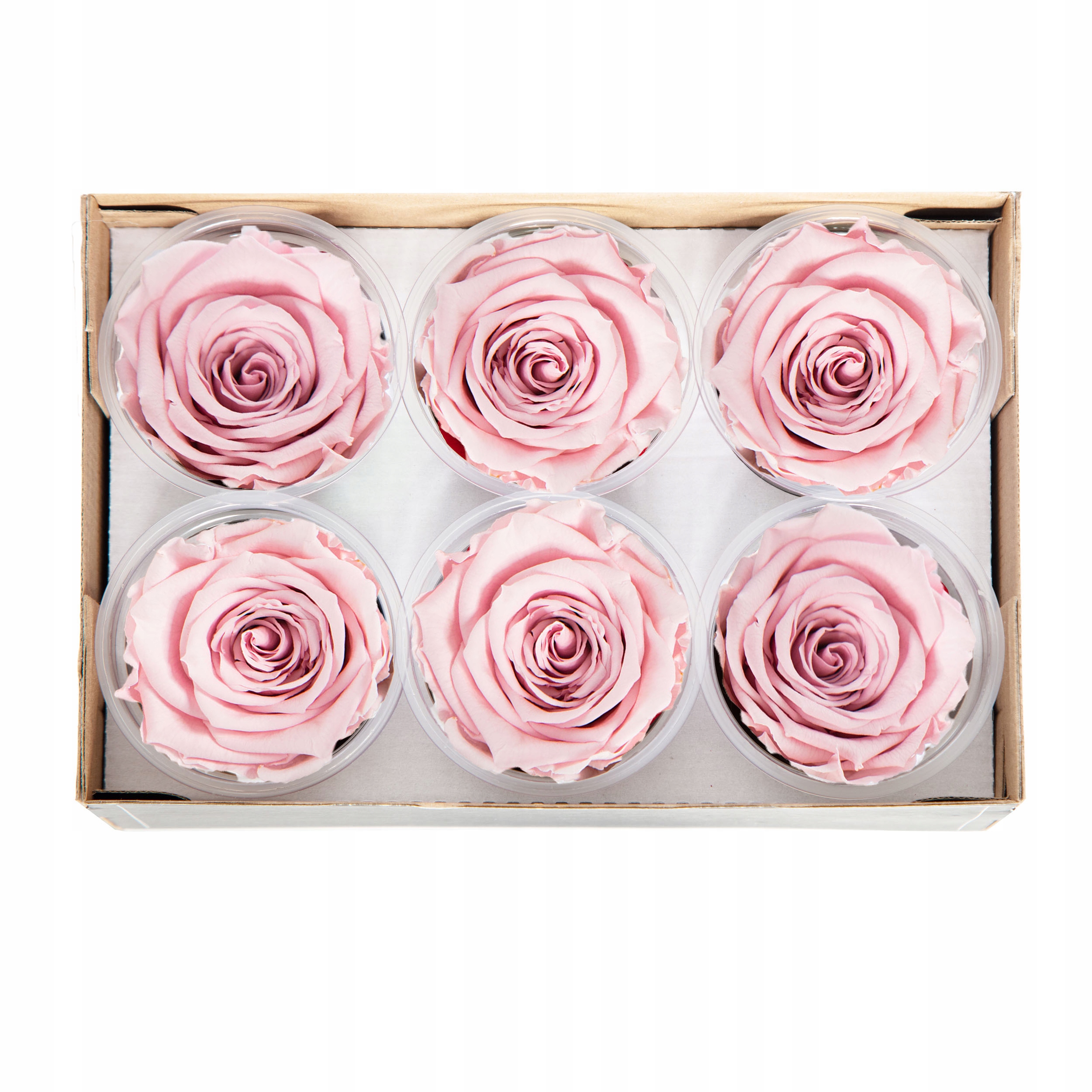 różowe WIECZNE RÓŻE główki XL Rose Amor KOLORY