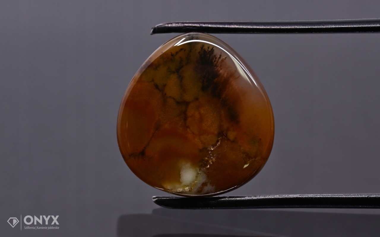 Dendritový achát z Kazachstánu konvexní dlaždice nere