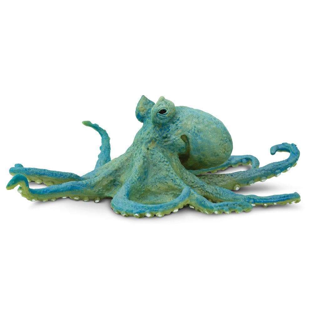 

Ośmiornica Octopus Safari Ltd. 200929