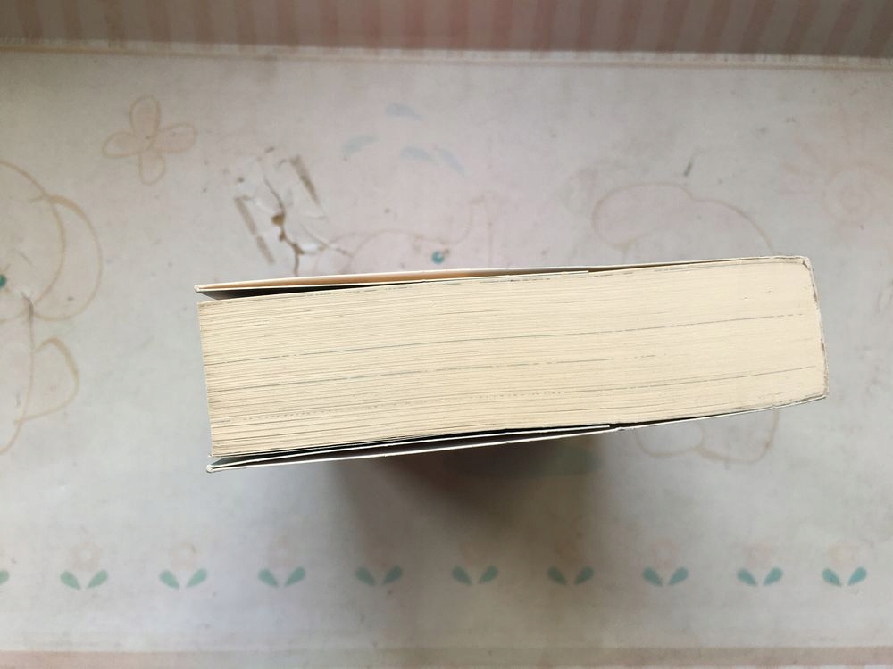 Na skraju strefy tom 1 Haladyn zona stalker Gatunek Fantasy