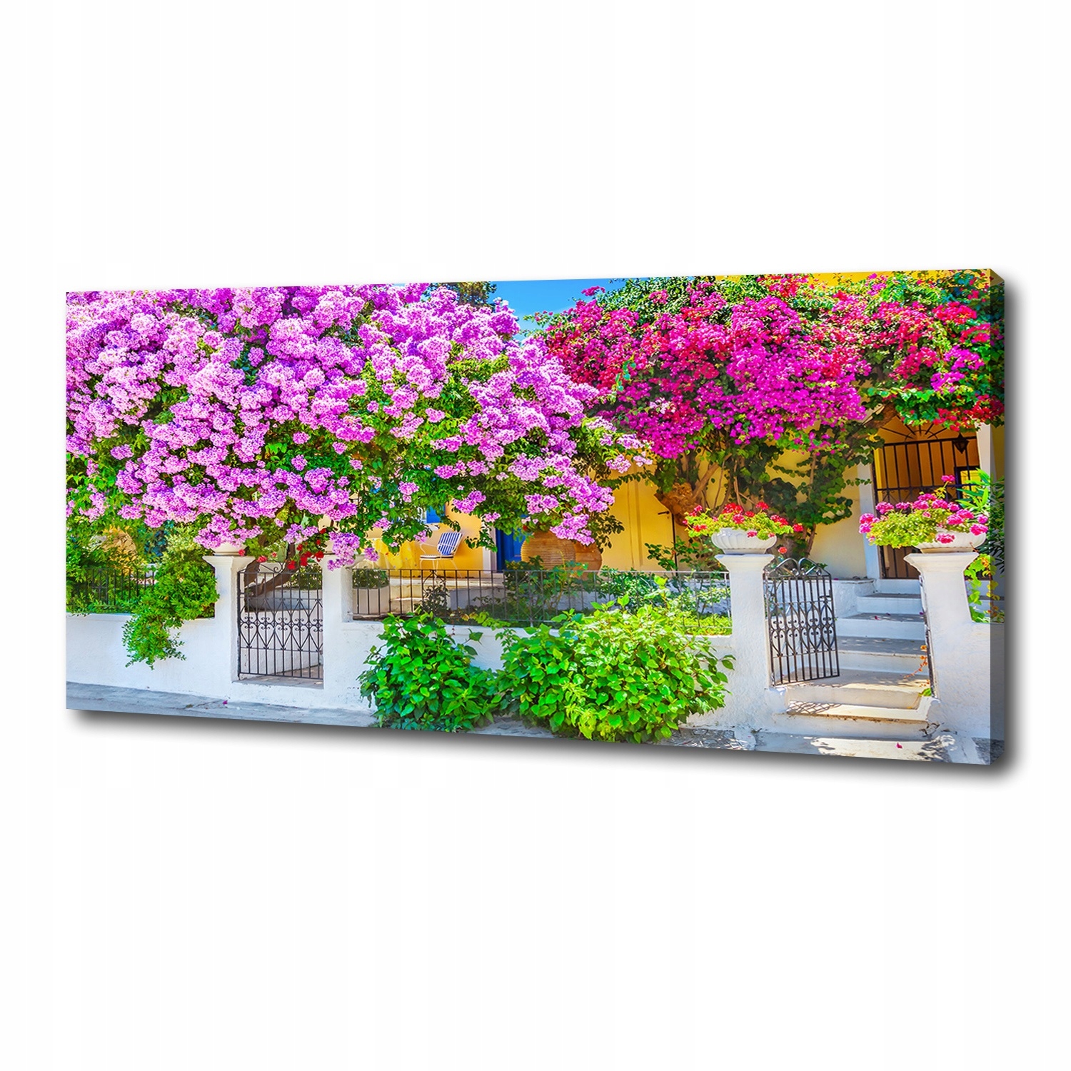 

Foto obraz na płótnie Dom z bugenwillą 125x50 cm