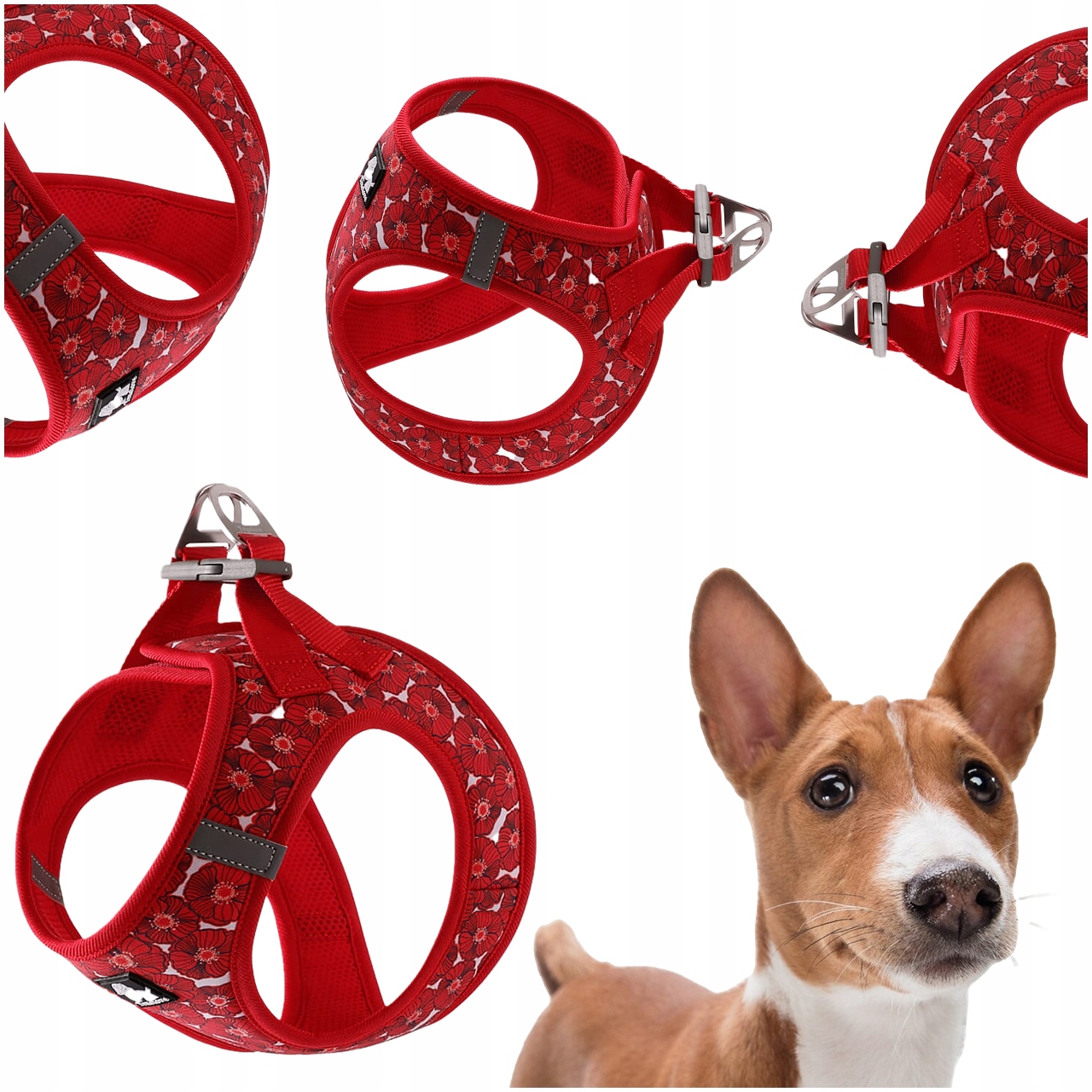 Szelki Dla Psa Małego Step-in Truelove Mini Aurora Elementy Odblaskowe M