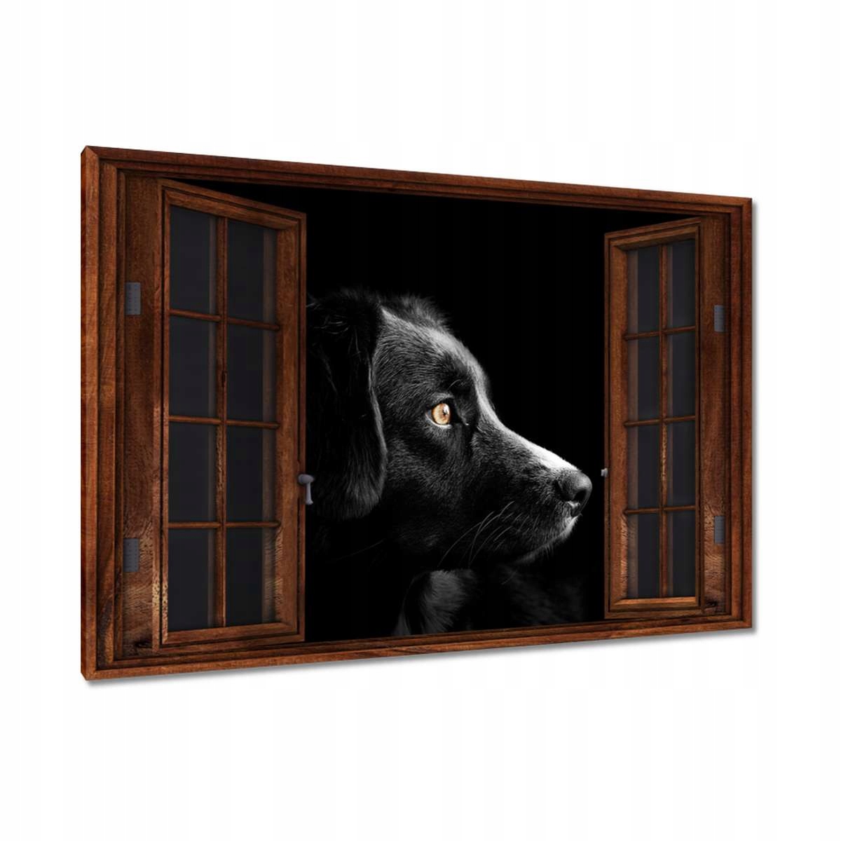 Obrazy 120x80 Čtyřnohý přítel