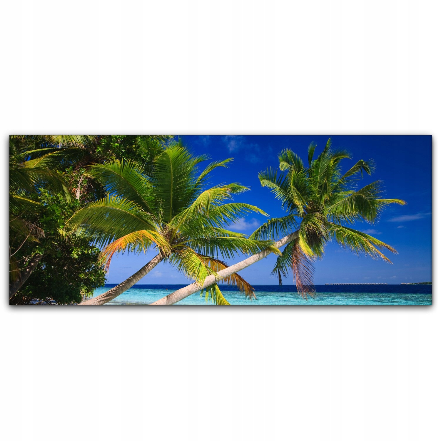 

foto-obraz na płótnie 125x50 Tropiki Palma Morze