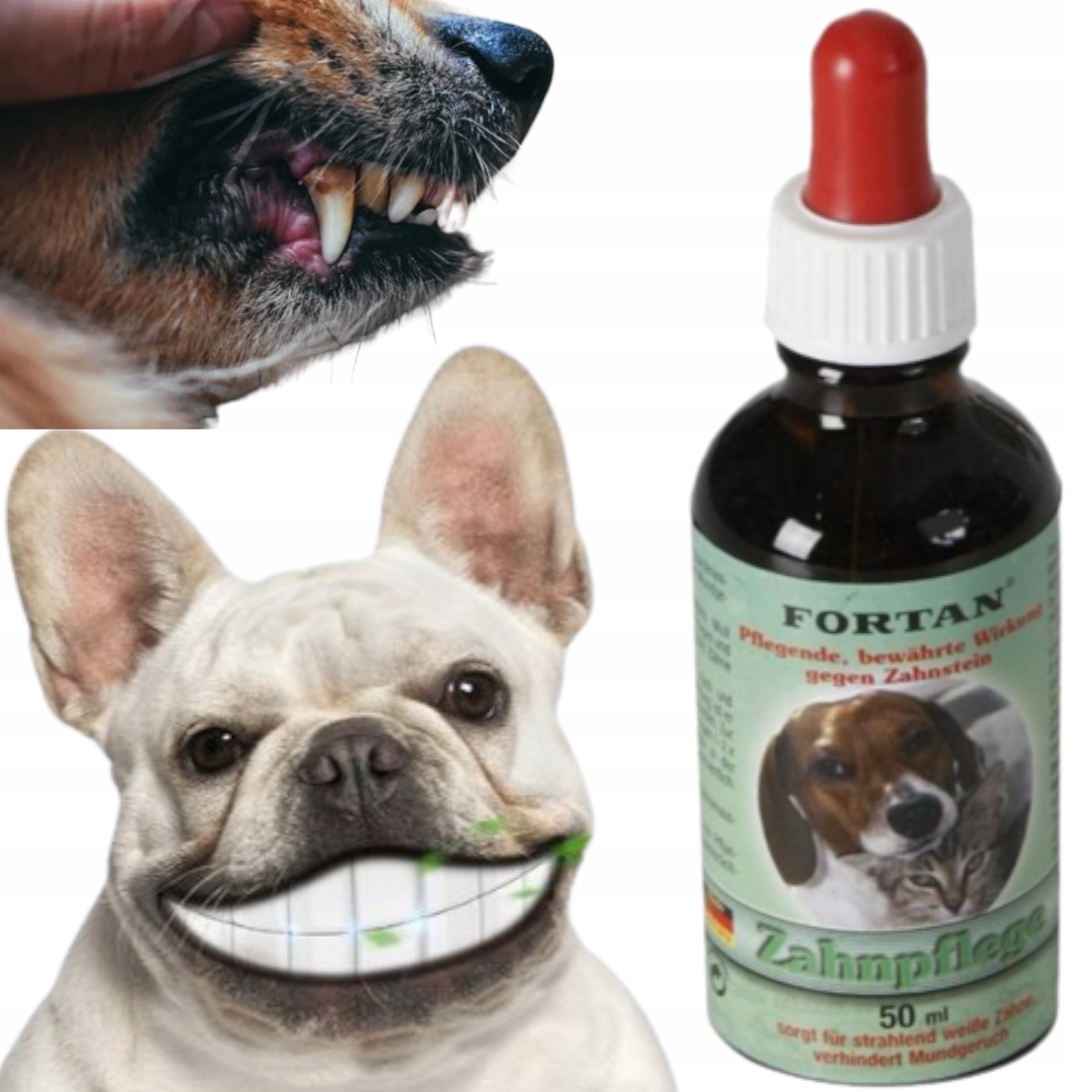 

Fortan Preparat Do Usuwania Kamienia Nazębnego