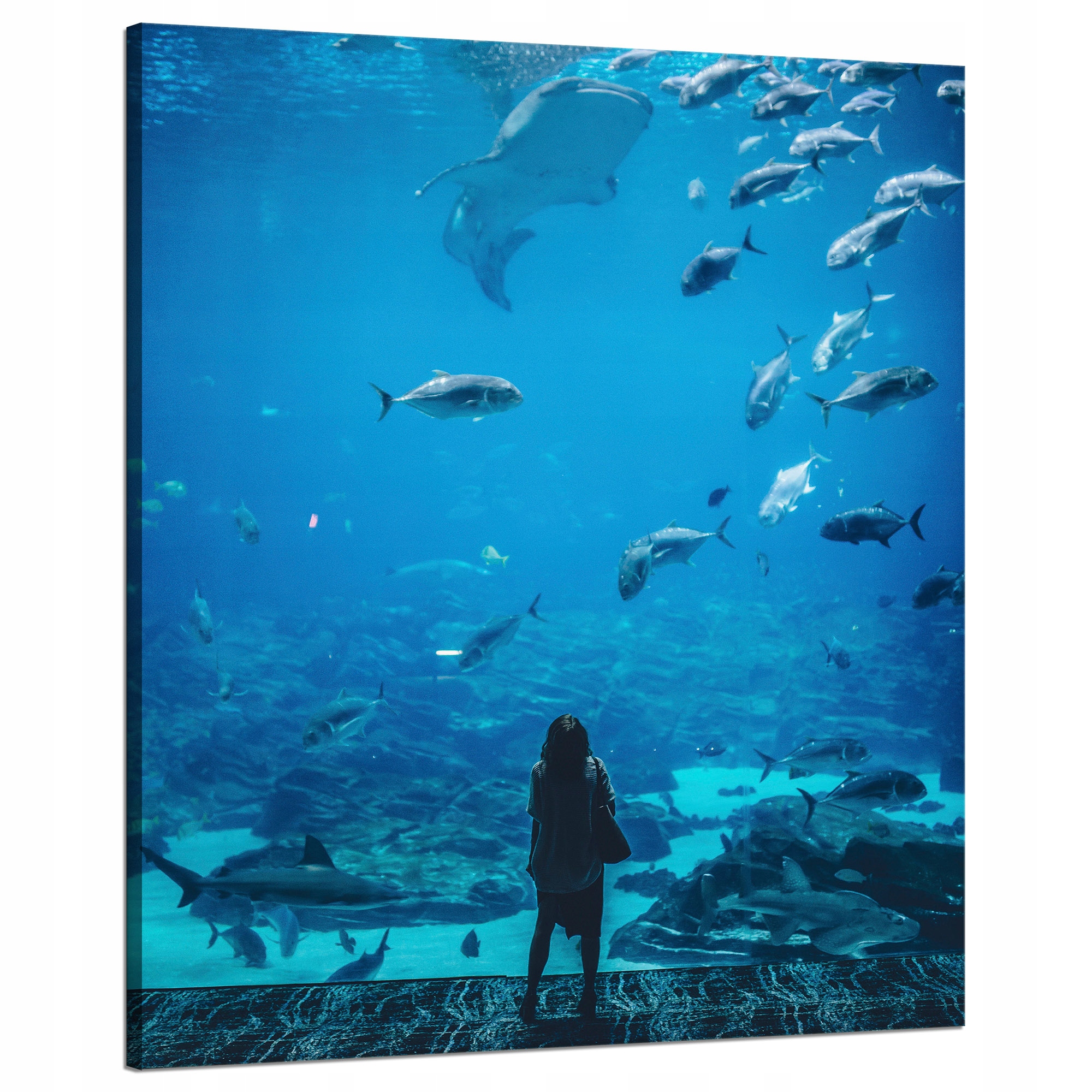 Obraz na plátně Lidé Akvárium Voda Mořský oceán Život 80x100 cm
