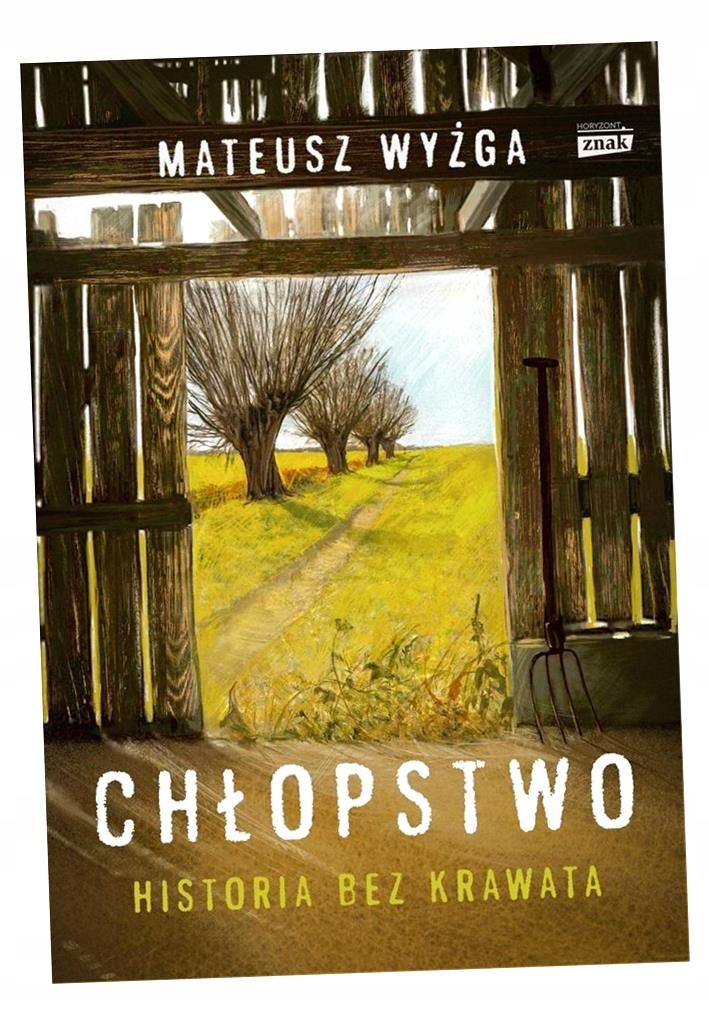 CHŁOPSTWO. HISTORIA BEZ KRAWATA MATEUSZ WYŻGA