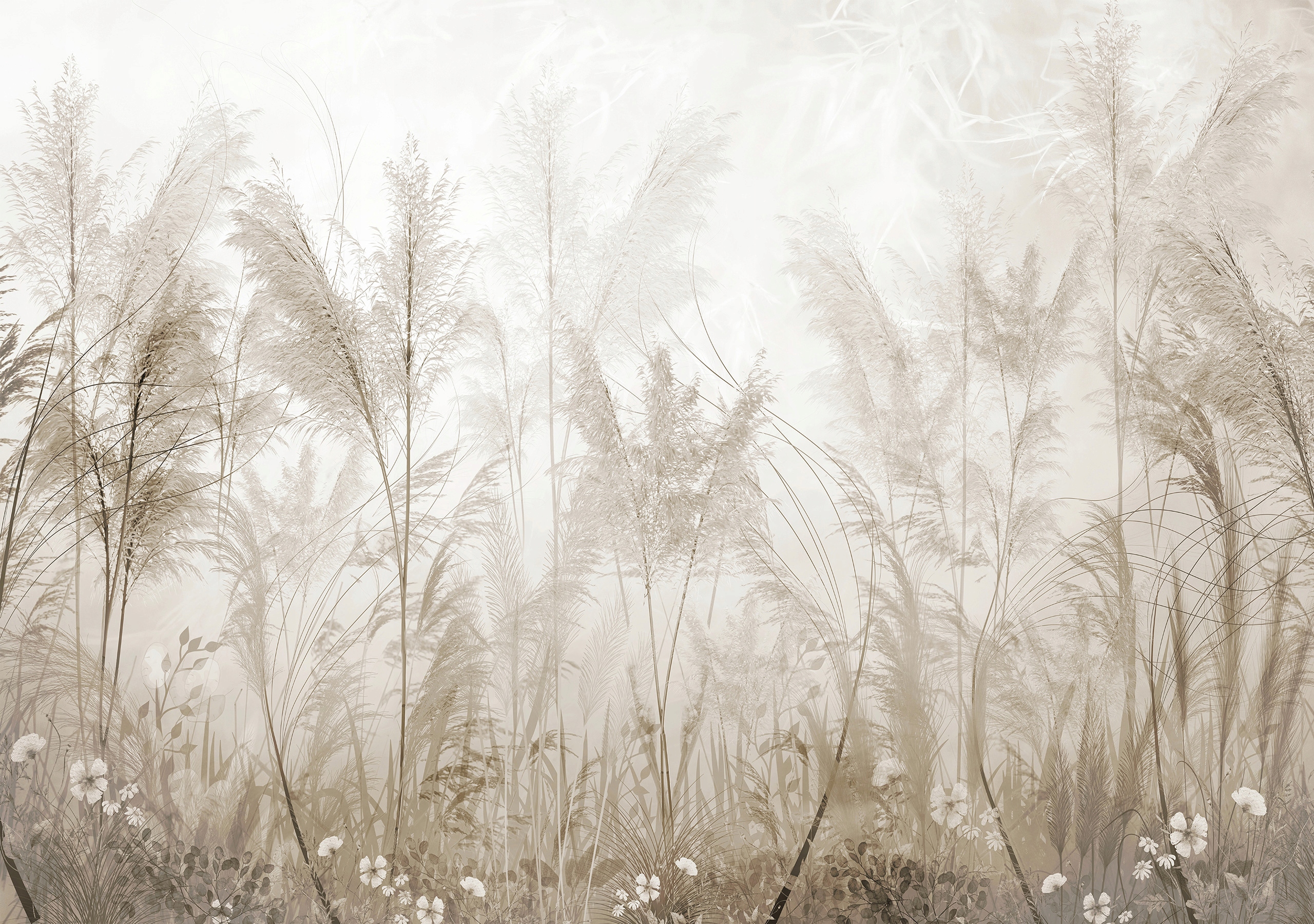 Fototapeta Pampasowa Trawa Kwiaty Delikatne Boho Beż 400x280