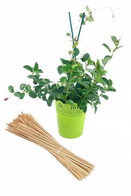 Bambus łupany naturalny 40cm/4mm. 10 szt. Szpilka Podpora do roślin Producent inna