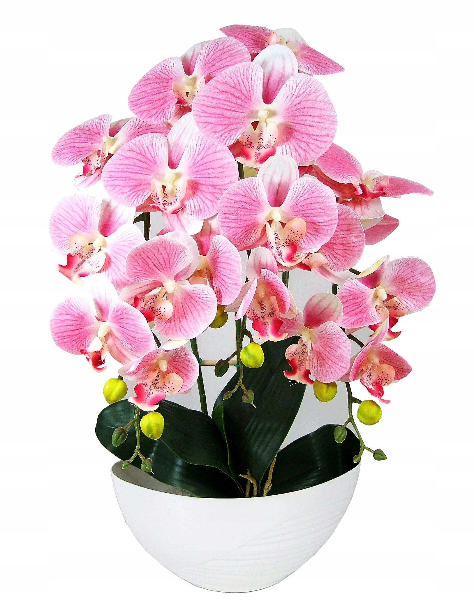 

Kwiat Storczyk Dzień Mamy Szybka Wysyłka