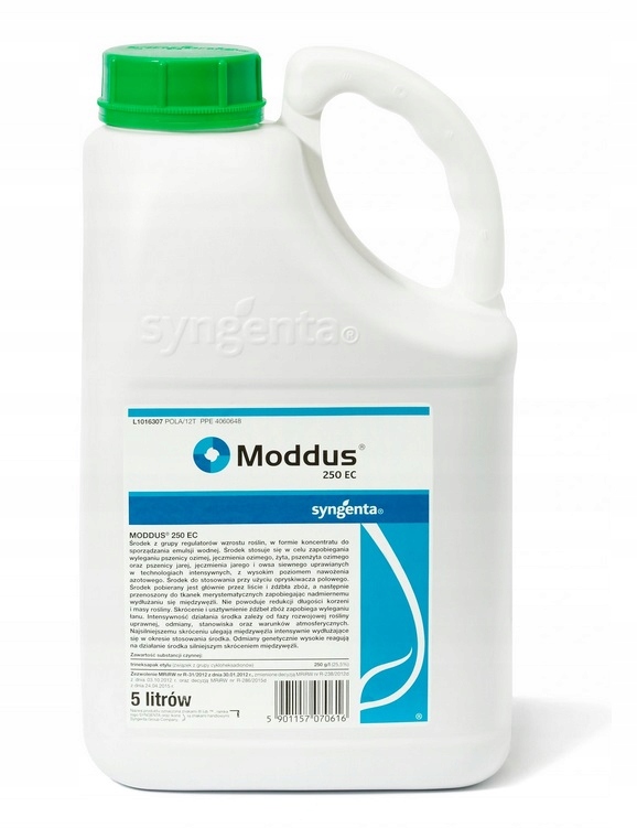 

Moddus 250 Ec 5 L Syngenta Trineksapak etylu