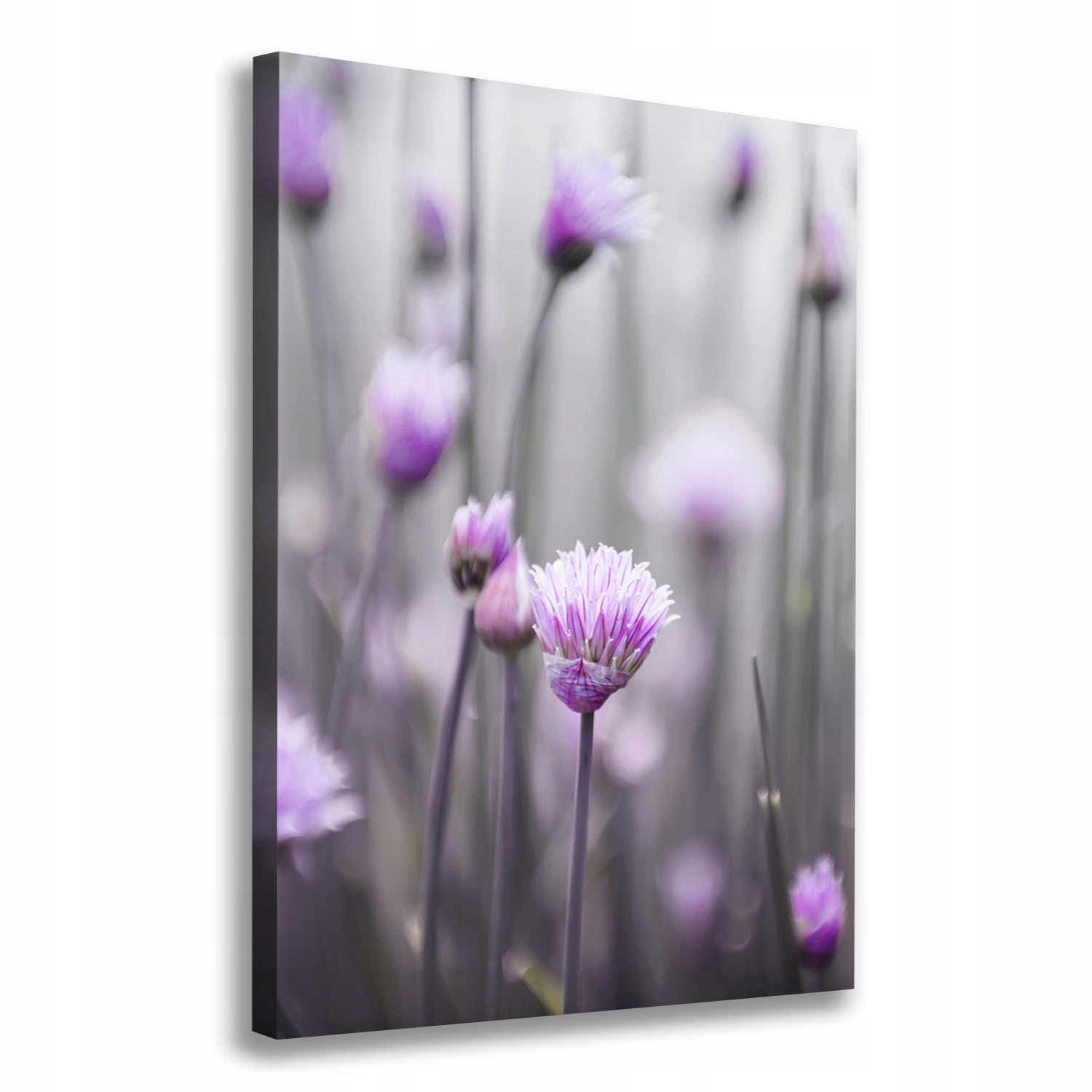 

Foto obraz na płótnie Kwiaty szczypiorku 70x100 cm