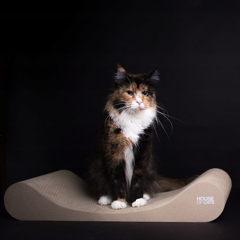 Kartonové škrabadlo a škrabadlo od House of Cats Eco