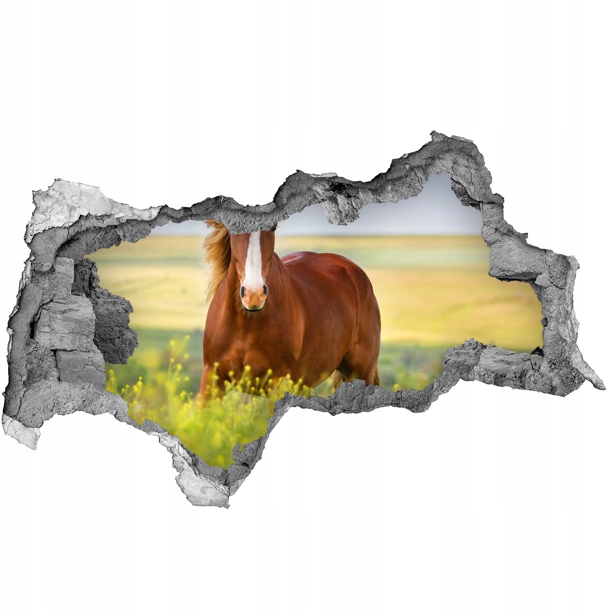 

Dziura 3d fototapeta naklejka Brązowy koń 115x88