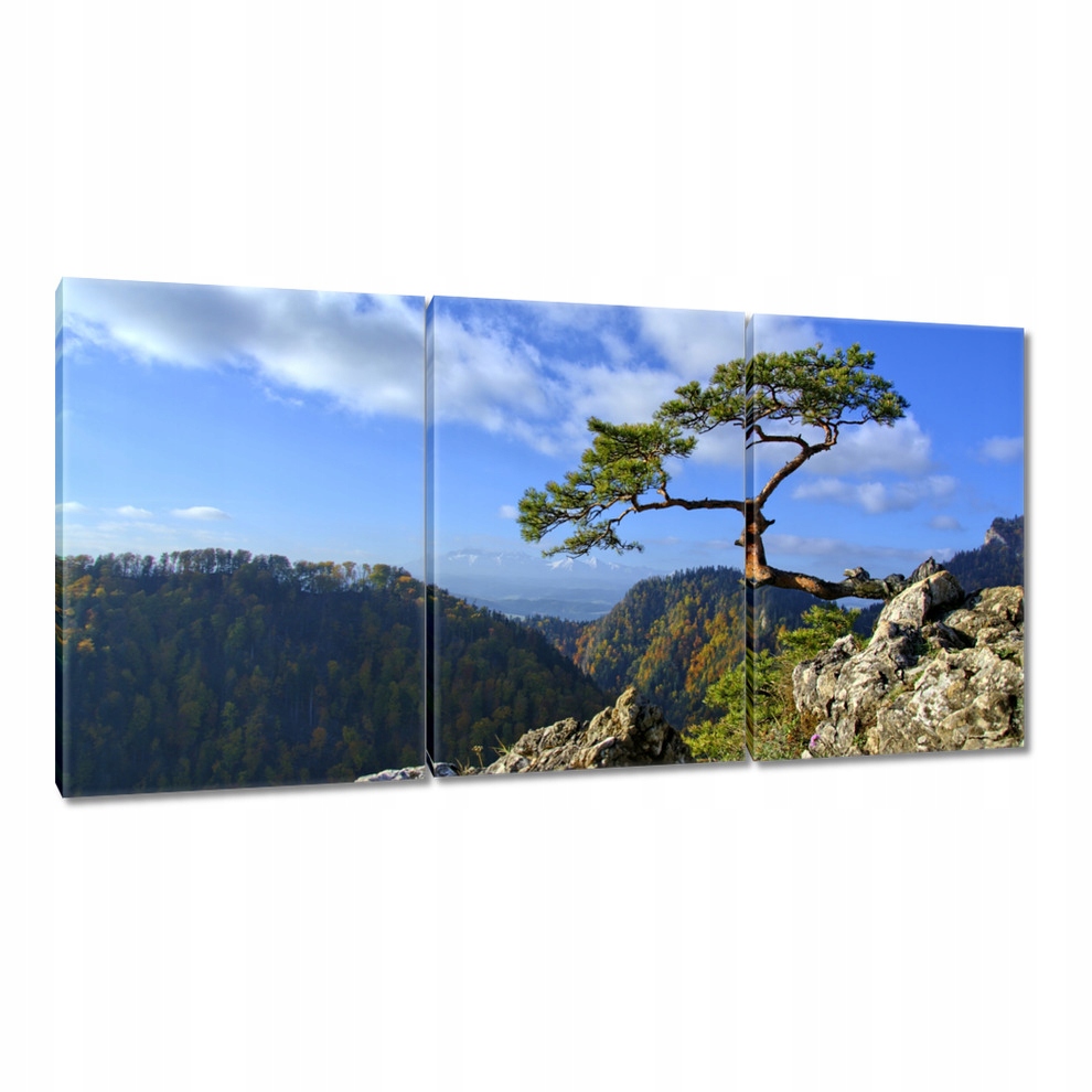 

Obrazy 120x60 Pejzaże Widoki Krajobrazy