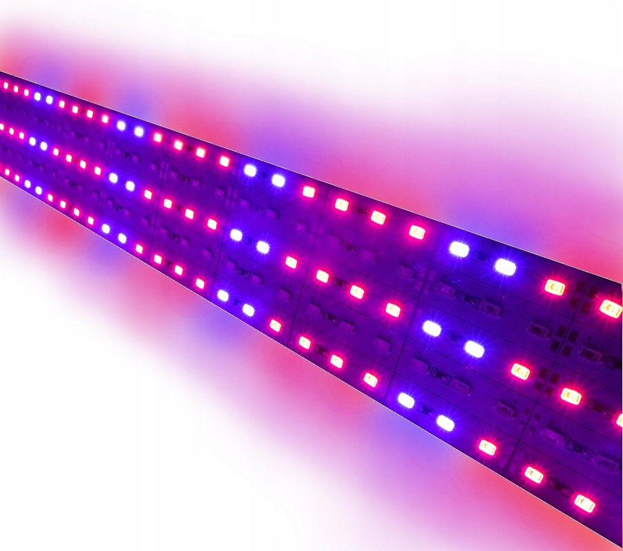 Taśma LED GROW RED BLUE 4:2 wzrostu uprawy roślin