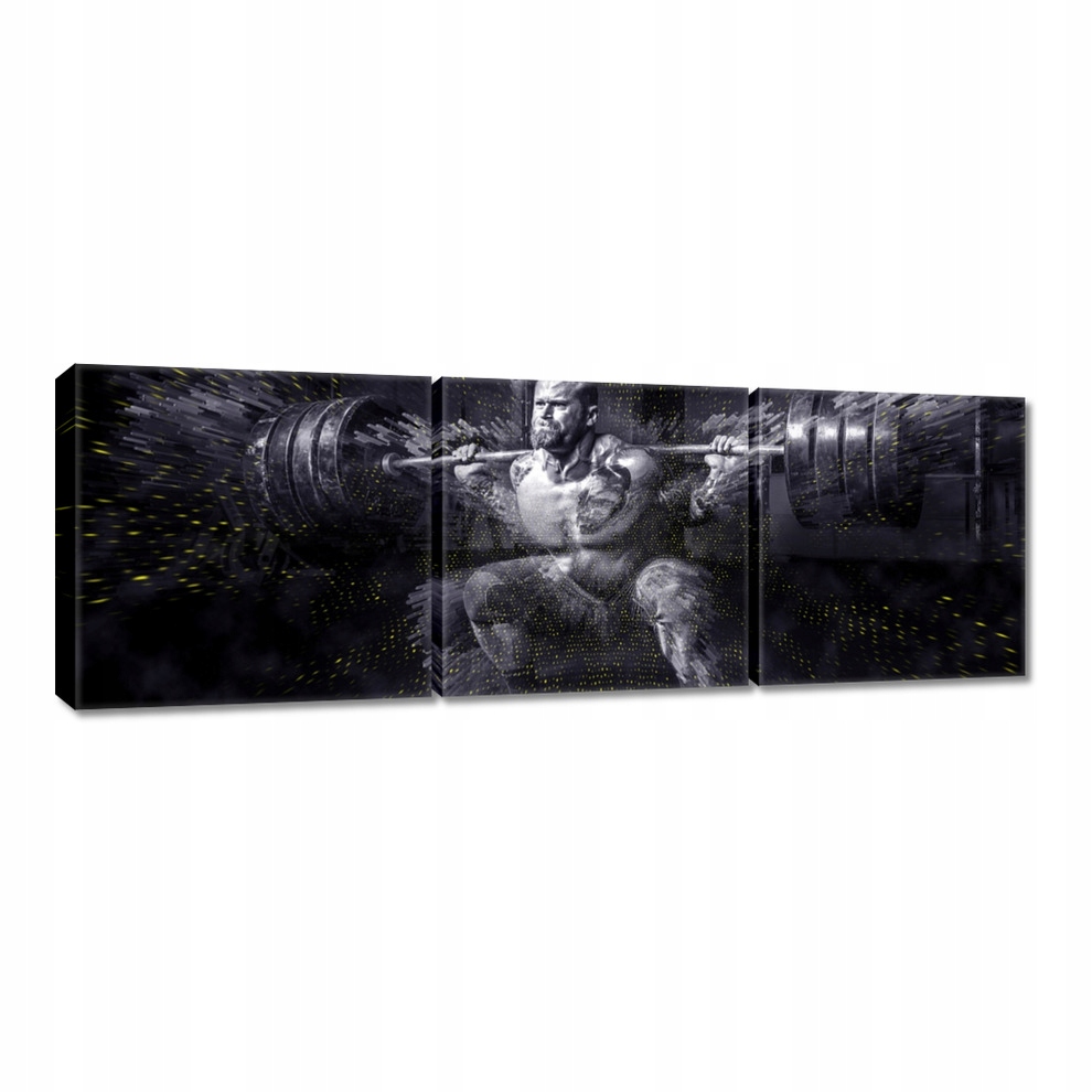 

Obrazy 60x20 Strongman Siłownia Siłka