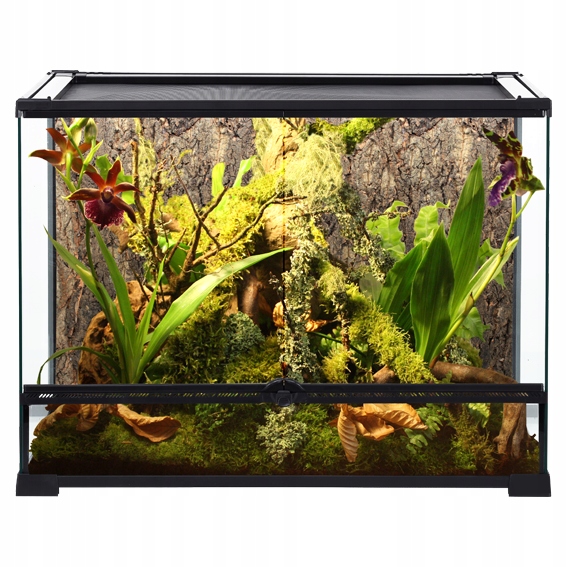 Repti Planet Terrarium szklane 60x45x45cm