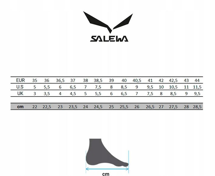 Buty podejściowe Salewa Wildfire Edge GTX r.45 Model Wildfire Edge GTX