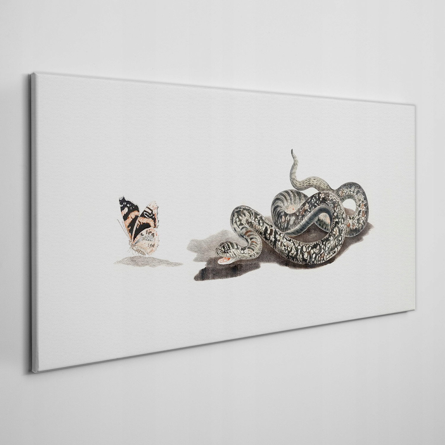 

Płótno obraz na ścianę Zwierzę wąż motyl 100x50 cm