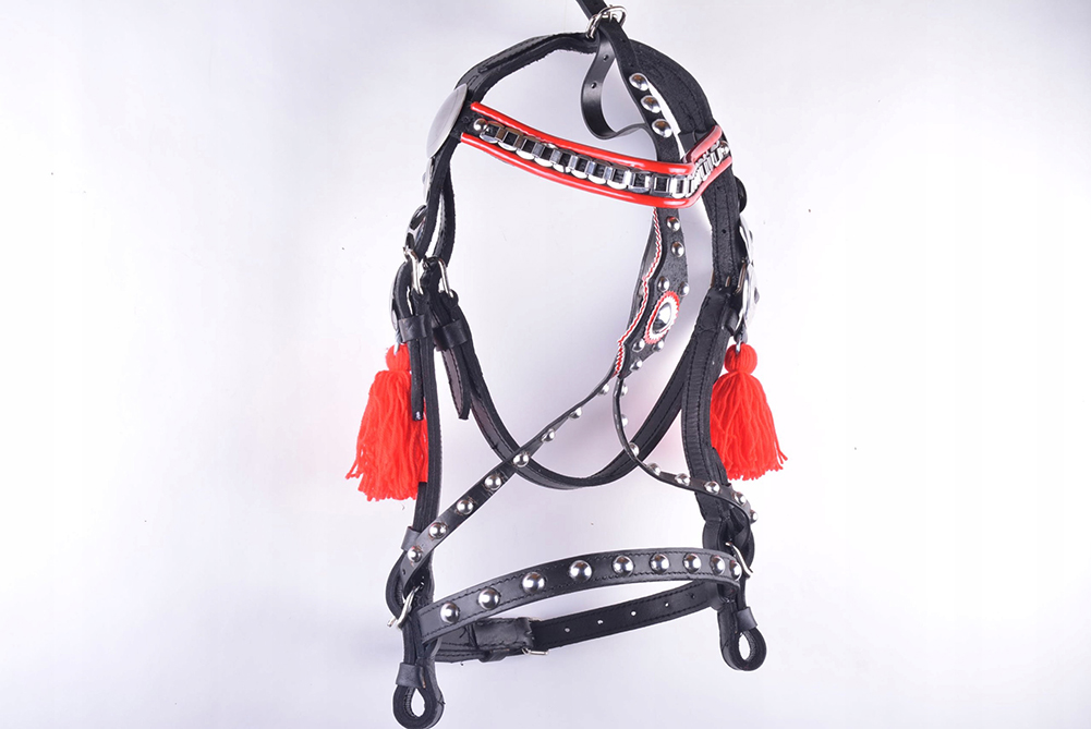 OGŁOWIE DO ZAPRZĘGU SKÓRZANE ROZ FULL I EXT FULL Rozmiar 4 (xfull)