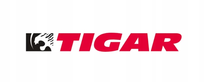 2x TIGAR WINTER FR 205/55R16 91 H Sezon zimowe