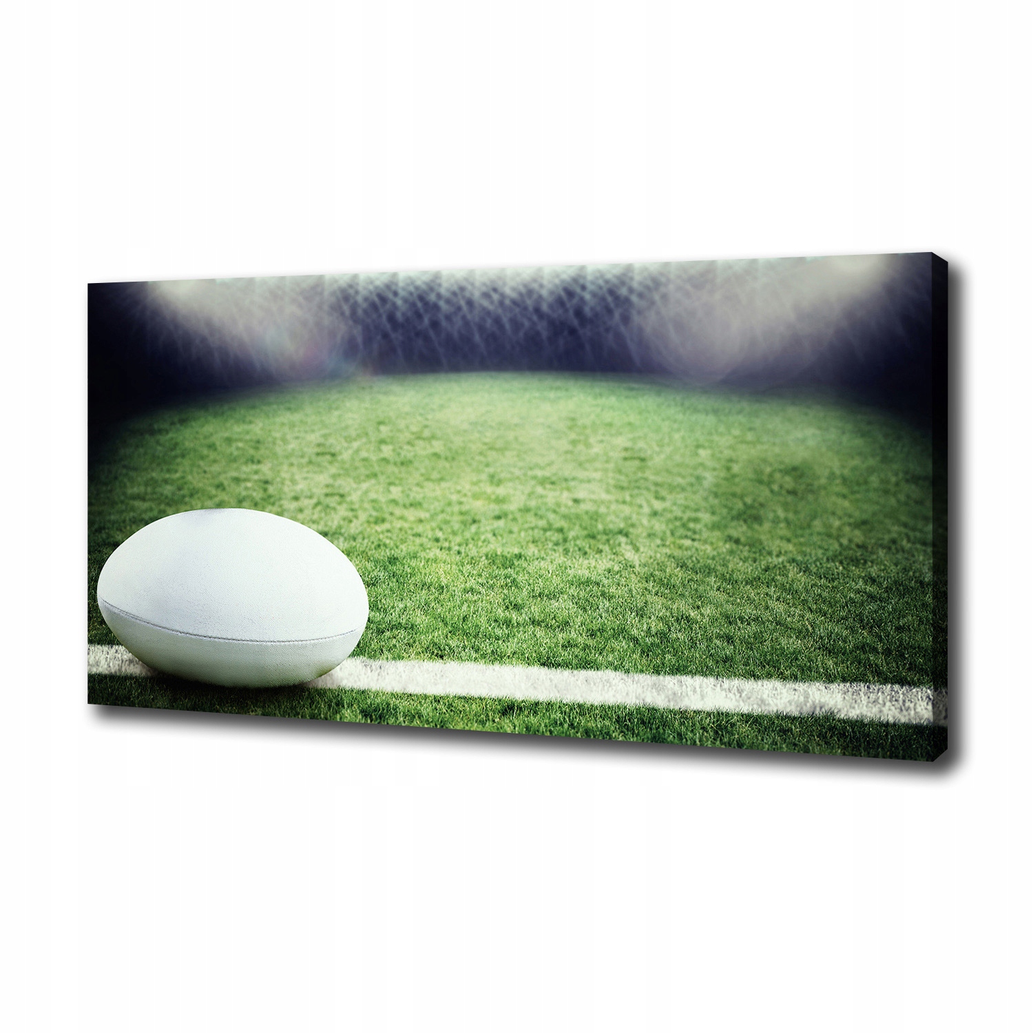 

Foto obraz na płótnie Piłka w rugby 100x50 cm