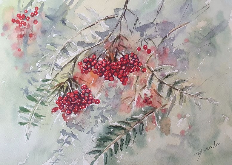 Akwarela Obraz Pejzaż Jarzębina