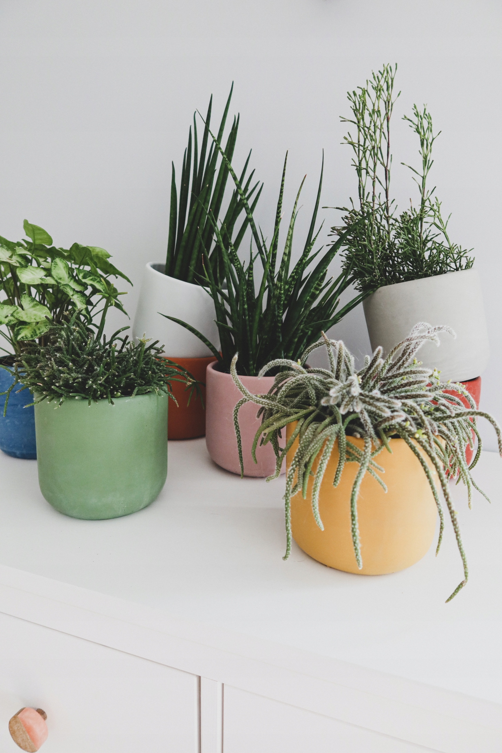 Doniczka betonowa 14cm różowa Wysokość produktu 14.5 cm