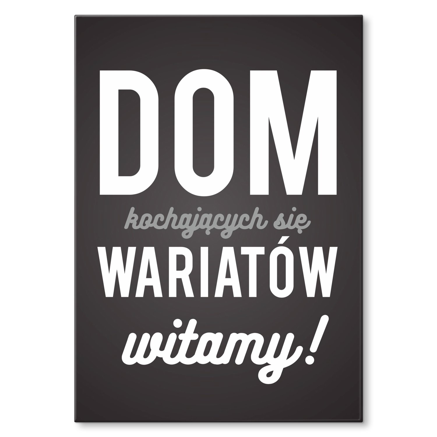 Kovový plakát Dům bláznů Šild Plech 30 x 42 cm Dárek
