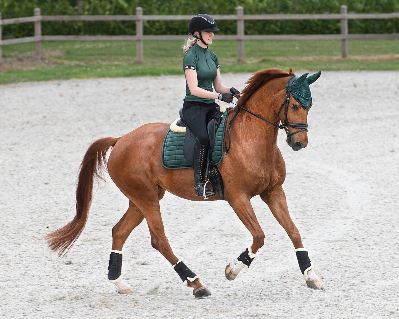 QHP czaprak wszechstronny Astana FULL Rozmiar full