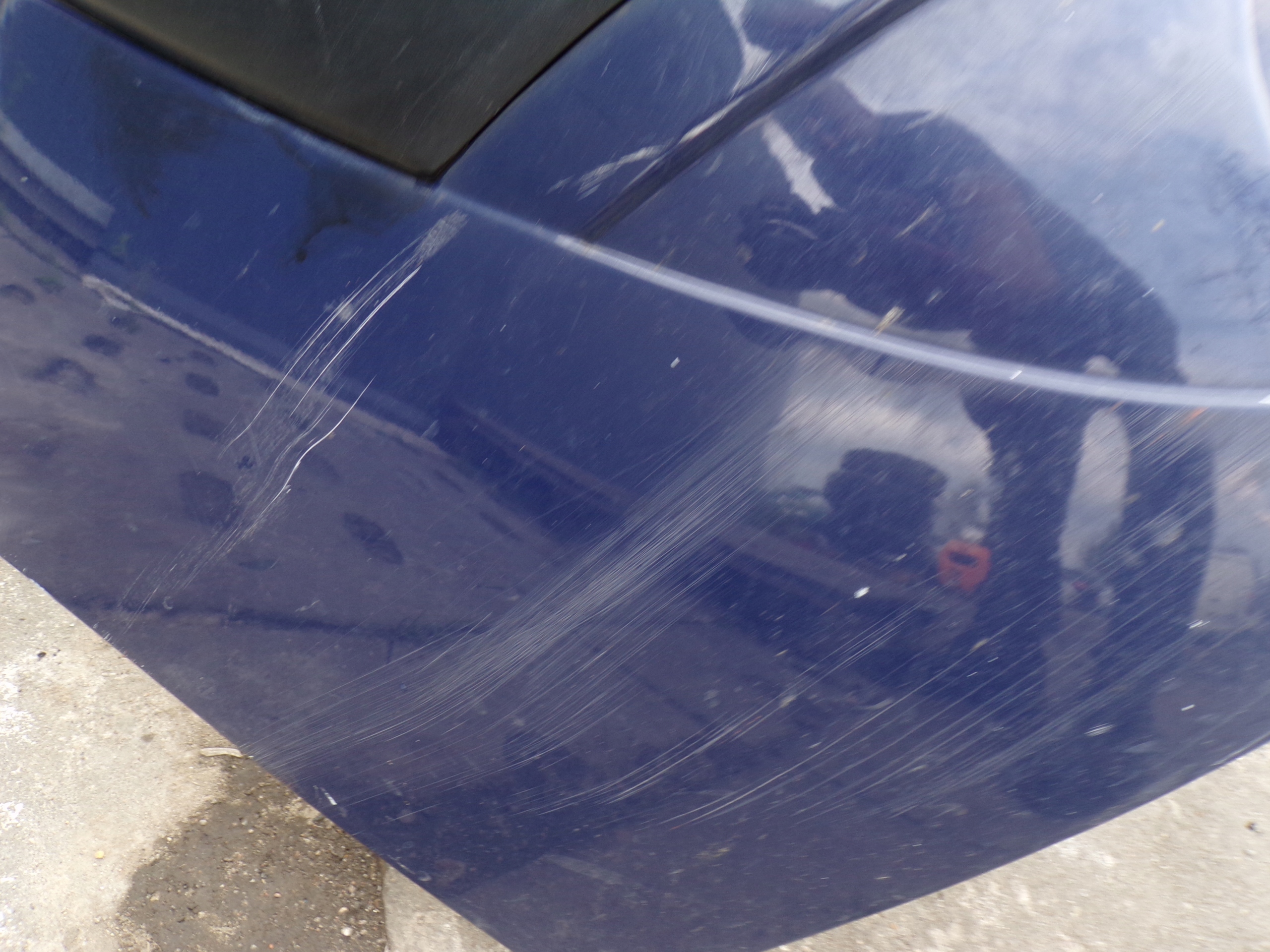 Paraurti anteriore Anteriore RENAULT SCENIC 1 e colore DV460