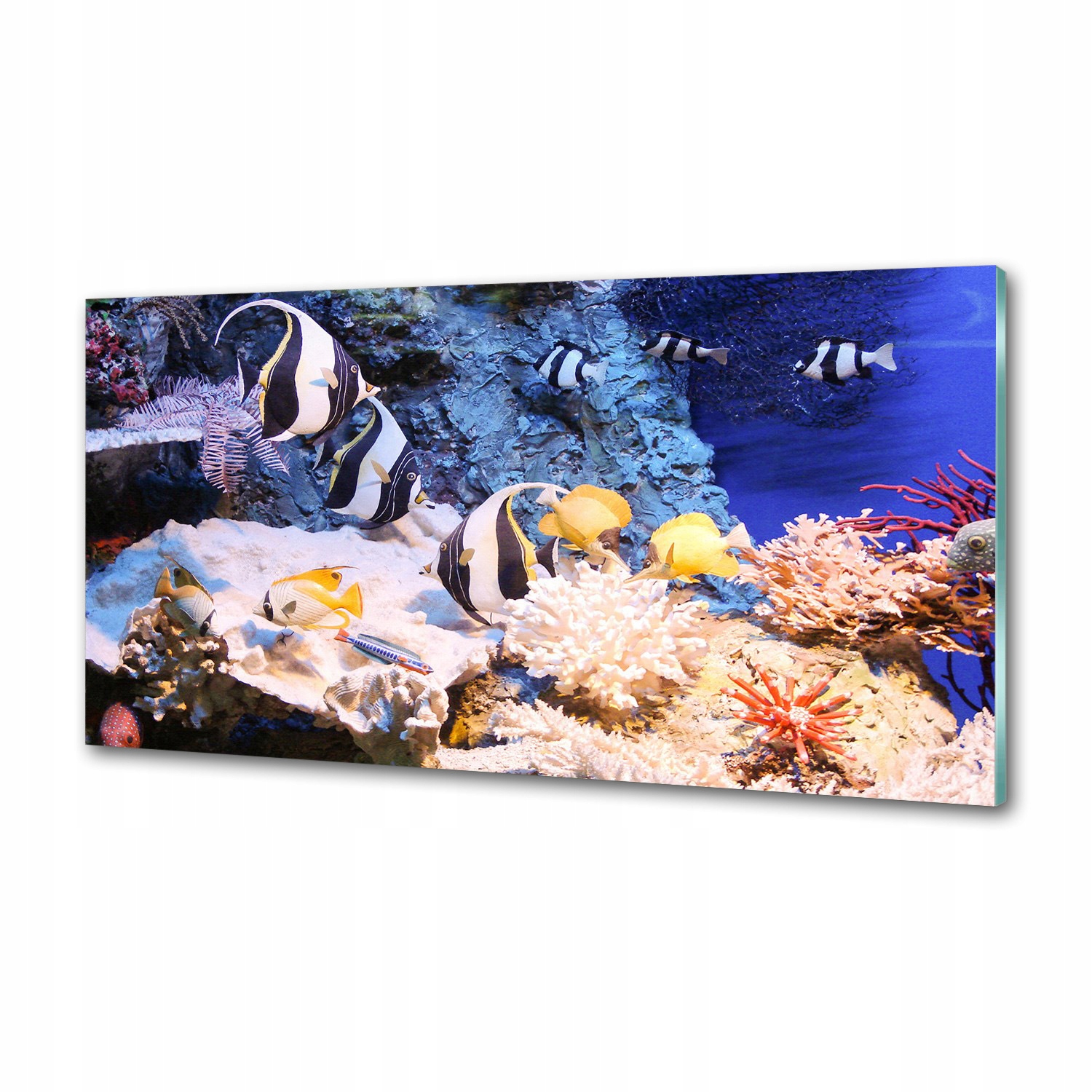 Dekoračný panel Koralový útes 120 x 60 cm Lepidlo