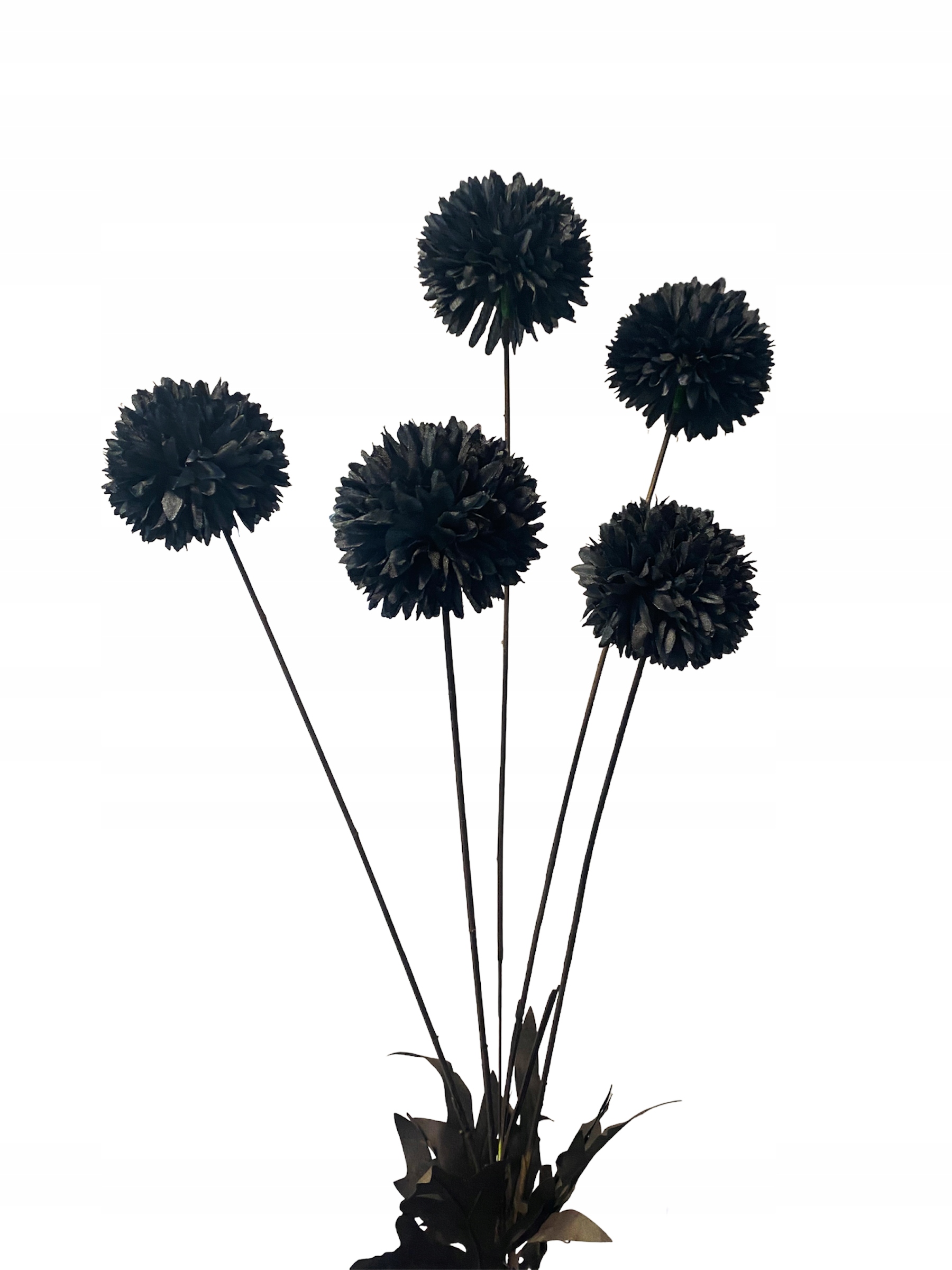 

Gałązka Czosnek Bukiet Czarny Chryzantema Kwiaty