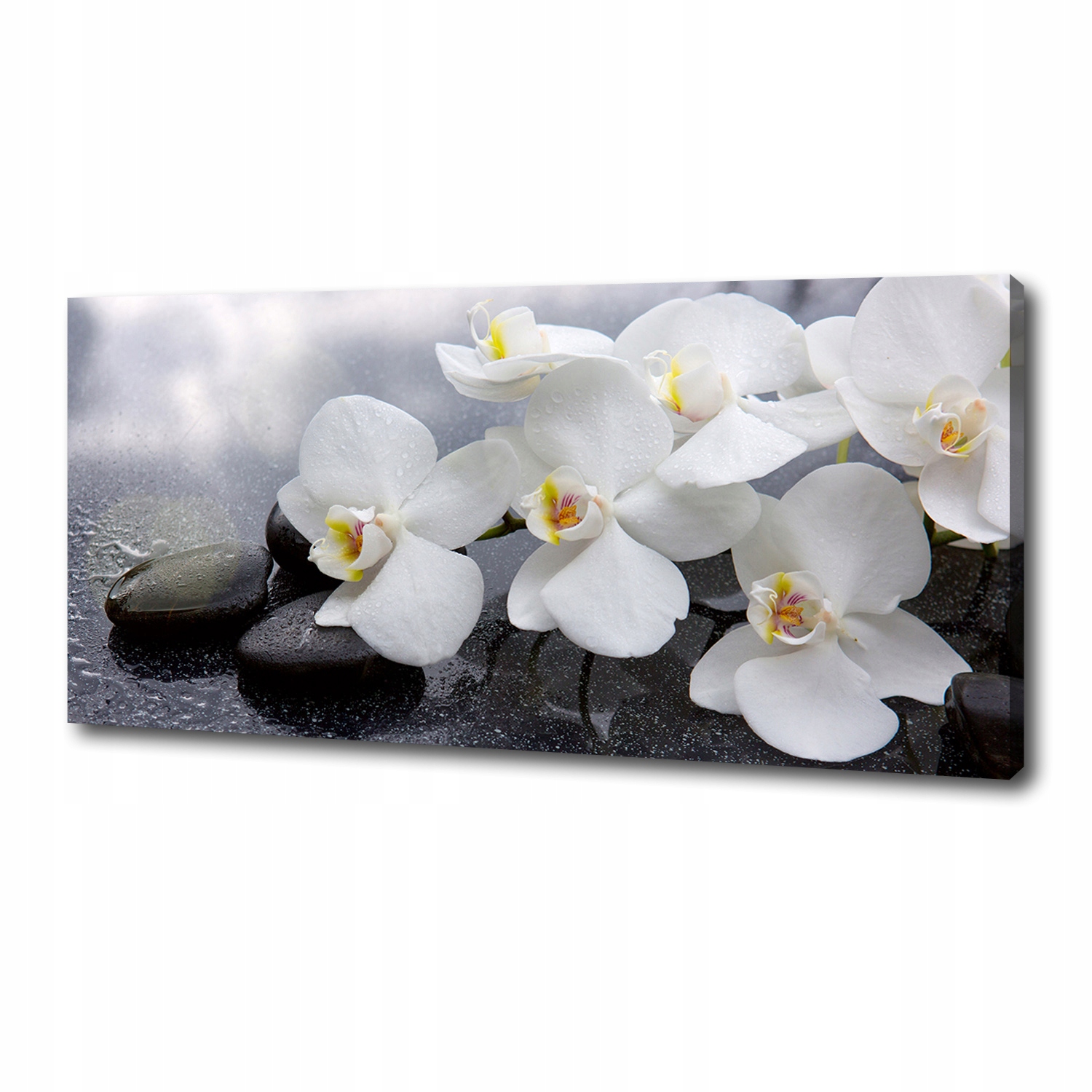

Foto obraz canvas na ścianę Orchidea 125x50 cm