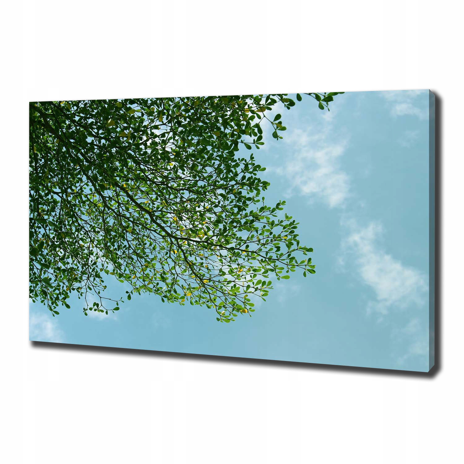 

Foto obraz na płótnie Liście na niebie 100x70 cm