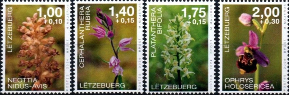 Luksemburg 2024, Kwiaty: orchidee **