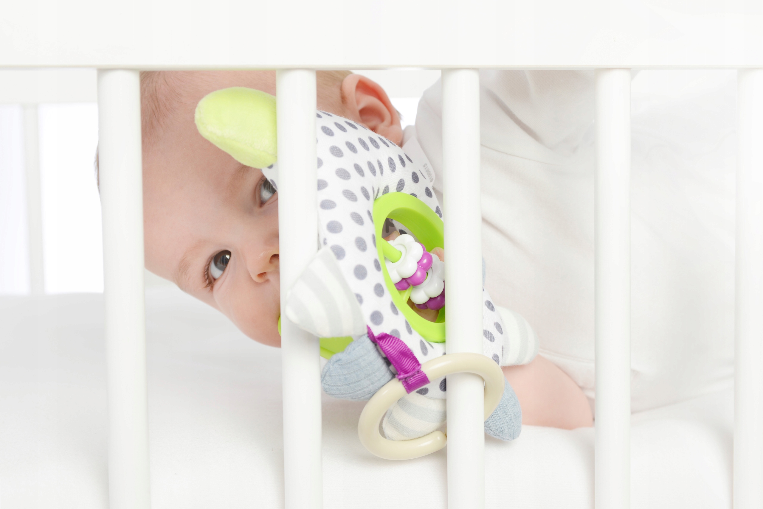 ZABAWKA DO WÓZKA STEM JEŻ - DOLCE TOYS Certyfikaty, opinie, atesty CE