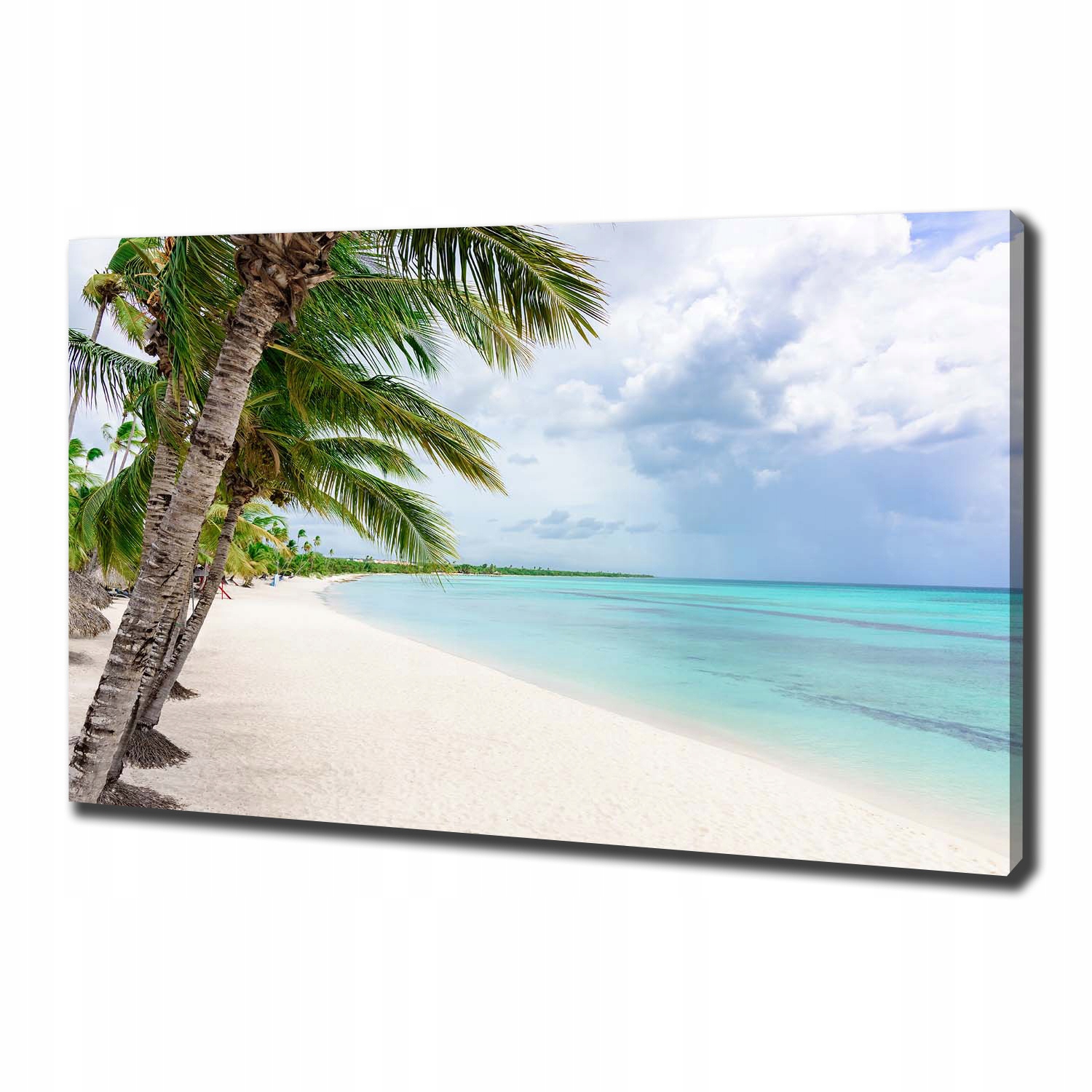 

Foto obraz na płótnie Tropikalna plaża 100x70 cm