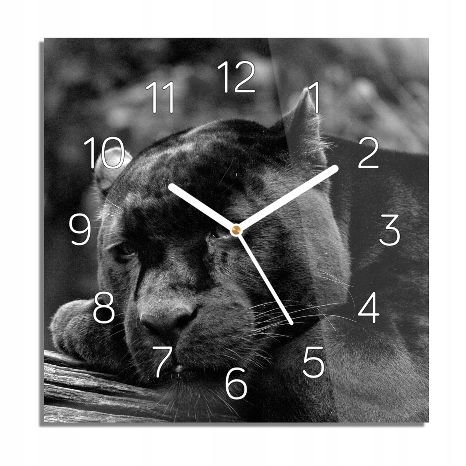 

Czarny jaguar foto-zegar na ścianę 30x30 do biura